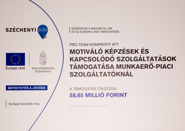 Alternatív Munkaerő-Piaci Szolgáltatások